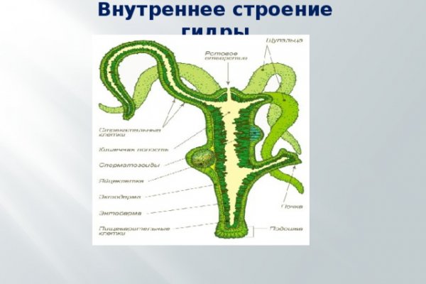 Кракен счет