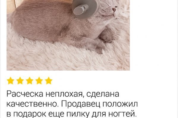Кракен сайт официальный onion